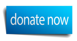39815108 - donate now blue paper sign on white background