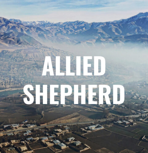 allied shepherd logo